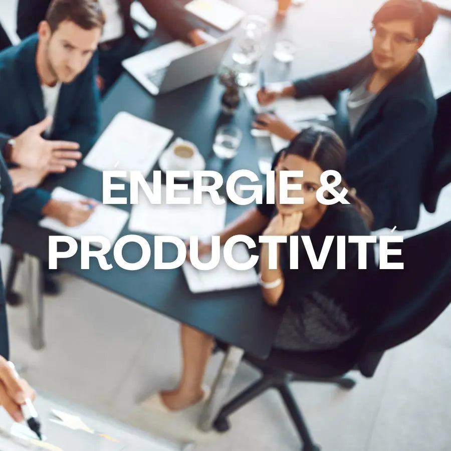Énergie et productivité