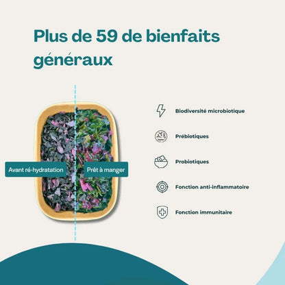 Snacks "Microbiote et immunité"
