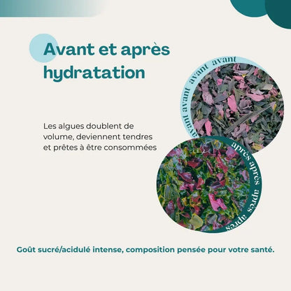 Snacks "Microbiote et immunité"