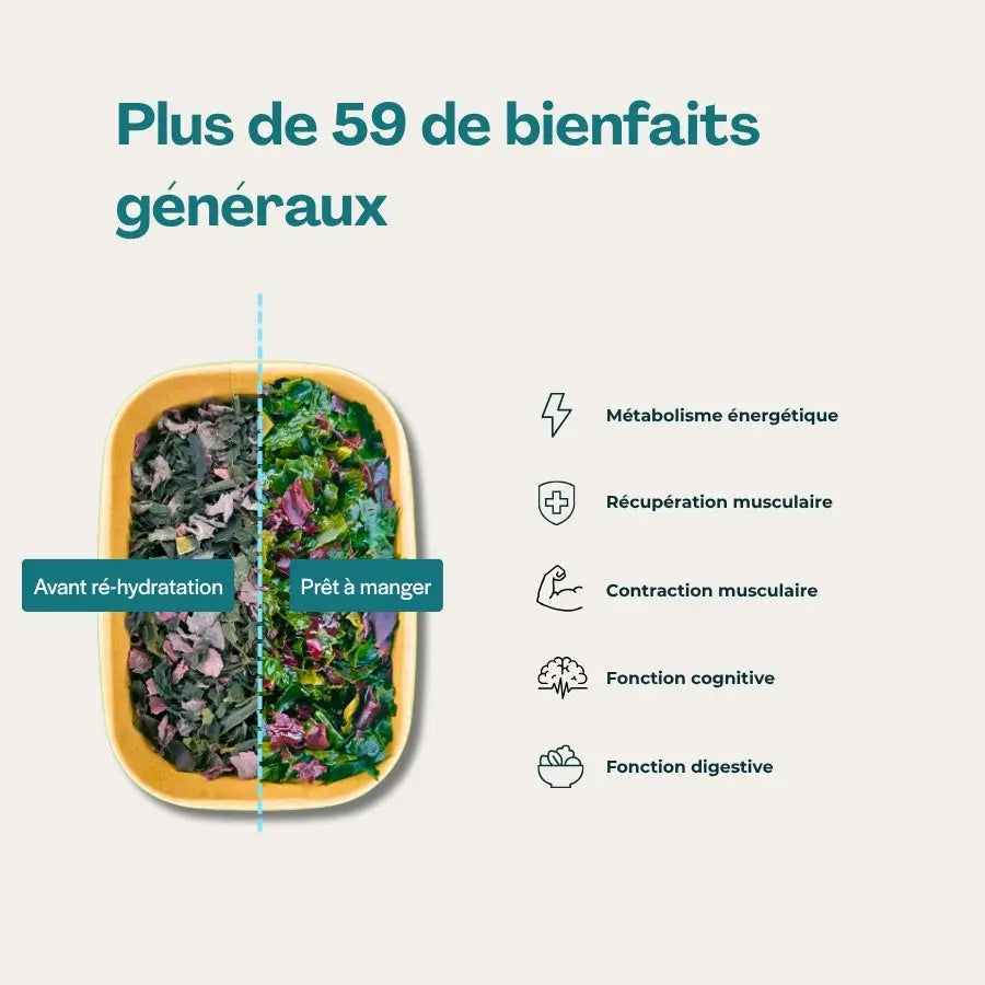 Snacks "Performance sportive"