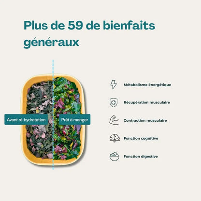 Snacks "Performance sportive"